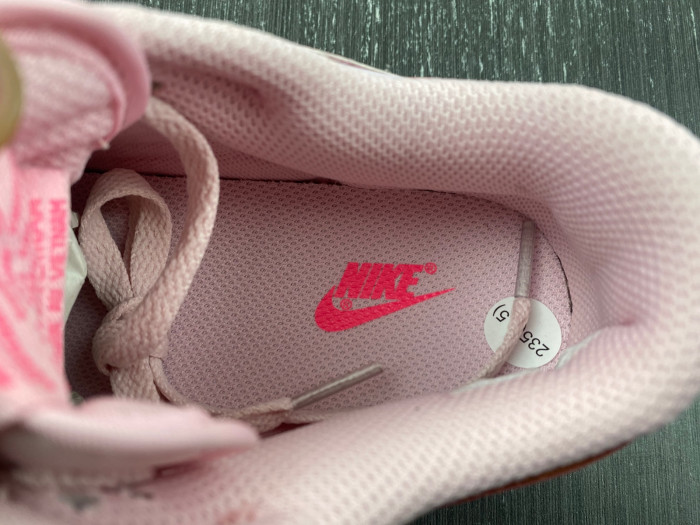Nike Dunk Low PS 