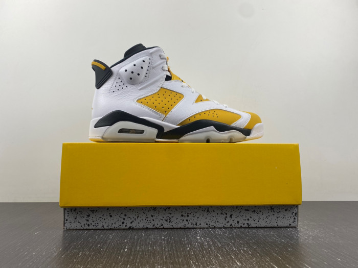 Air Jordan 6 Retro Yellow Ochre CT8529-170