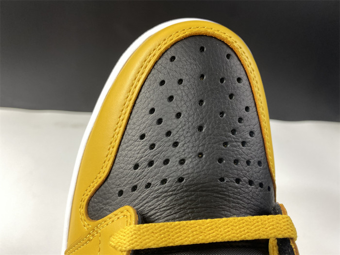 Air Jordan 1 Pollen 555088-701