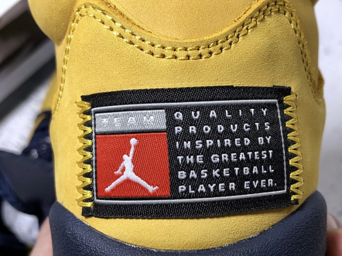 Air Jordan 5