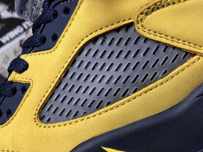Air Jordan 5