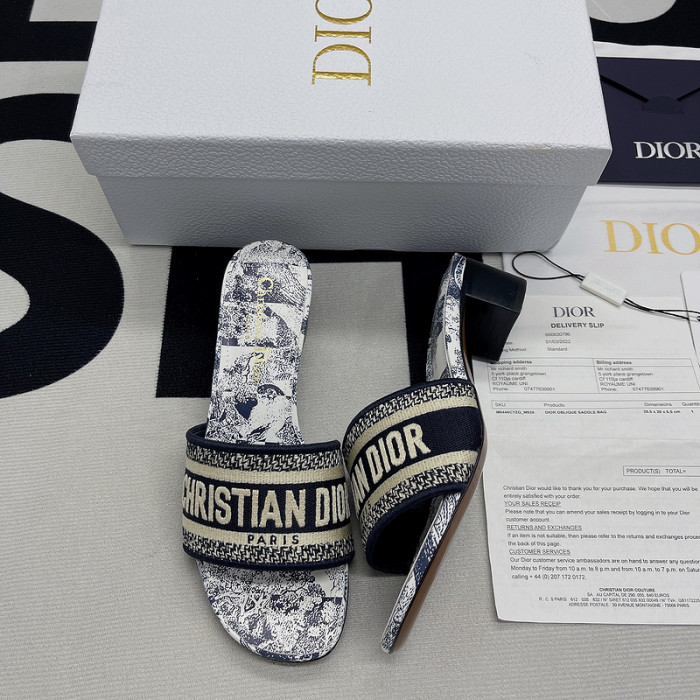 D10R slides