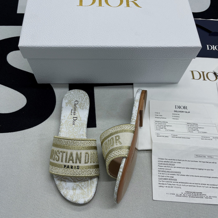 D10R slides