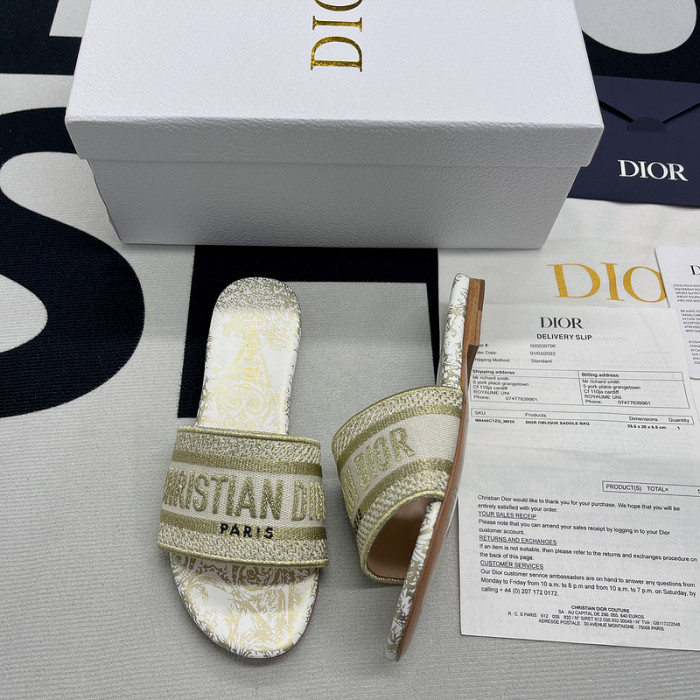 D10R slides