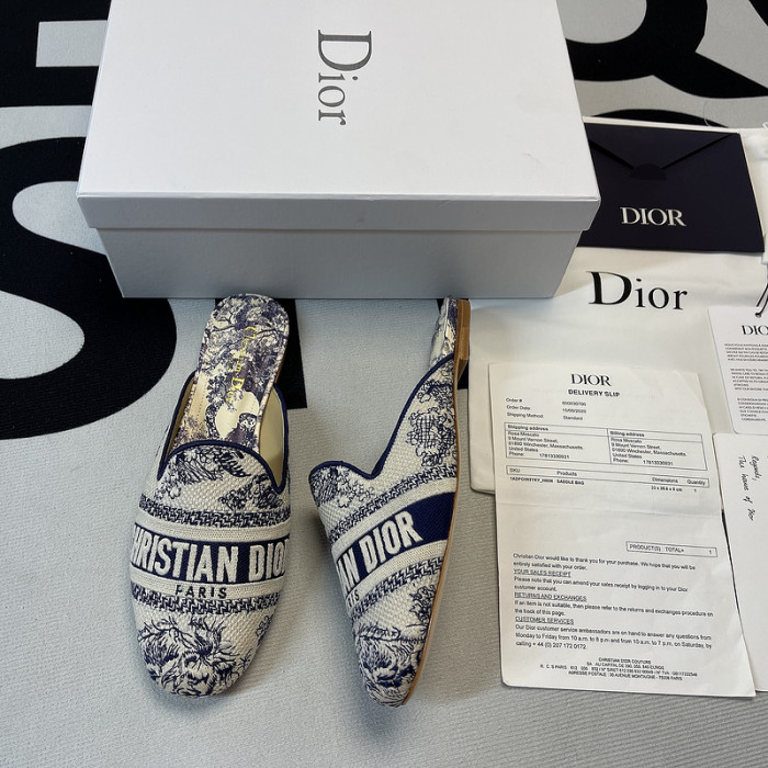 D10R slides