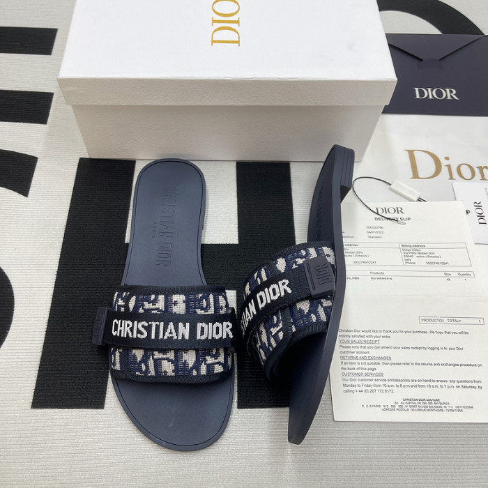 D10R slides