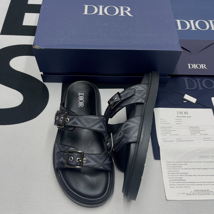 D10R slides